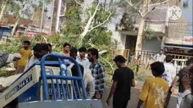 गुन्नौर: कस्बा बबराला में तेज आंधी में पेड़ ट्रैक्टर के ऊपर गिर गया, ट्रैक्टर दो हिस्सों में बंट गया