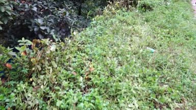 ಮಡಿಕೇರಿ: ಆಲ್ವೇಸ್ ಸರ್ವಿಸ್ ಸ್ಟೇಷನ್ ಬಳಿ 40 ಅಡಿ ಕಂದಕಕ್ಕೆ ಉರುಳಿದ ಕಾರು