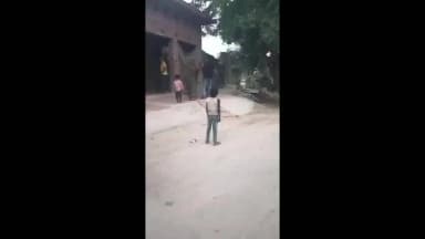 चायल: घर में घुसकर मारपीट, तोड़फोड़ और नकदी-जेवर लूटने का आरोप, पीड़िता ने थाने में दी तहरीर, पसौर गांव का मामला!