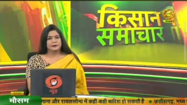 जिले के परमानंद सिंह की मशरूम उत्पादन से जुड़ी सफलता की कहानी — मेहनत, नवाचार और आत्मनिर्भरता की प्रेरक मिसाल। 🍄 ::
#MushroomFarming #SuccessStory #ProgressiveFarmer #AurangabadBihar #AgricultureInnovation #InspiringJourney
Department of Agriculture, Government of Bihar Information & Public Relations Department, Government of Bihar