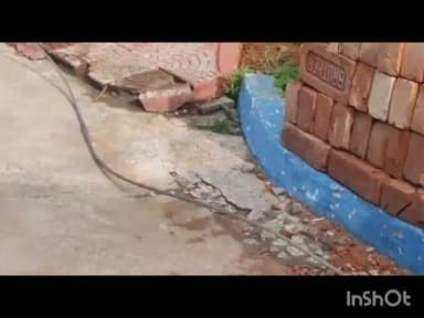 पाकुड़: पाकुड़ में बड़ा हादसा टला:शहरकोल में टूटकर आंगन में गिरा 11000 वोल्ट का तार,बाल -बाल बचे दर्जन भर लो