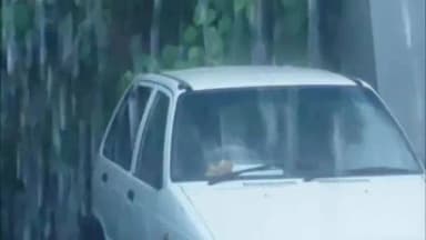 फरसगांव: फरसगांव में सुबह से झमाझम बारिश, गर्मी से मिली राहत, किसानों के कृषि कार्य में आएगी तेजी