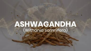 The strength of Ashwagandha lies in its roots.
Scientifically validated and widely used in Ayush and food products, Ashwagandha root is the approved and permitted source for delivering its recognized wellness benefits, including supporting vitality and helping manage stress.
Choose quality.
Choose authenticity. Choose root-based Ashwagandha.
#Ashwagandha #AshwagandhaRoot #RootBasedAshwagandha #HolisticWellness #HealthyLiving
@narendramodi @mppratapraojadhao @mdniyyoga @mib_india @akashvani_air @aiia_gov @ddnational @airnewsalerts @ani_trending @ptinews_multimedia @unitednewsofindia @mygovindia @mygovassamese @mygov.hindi