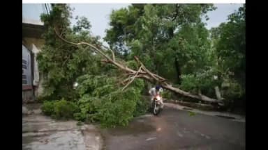 अलीपुर: दिल्ली में आधी रात 70Kmph की रफ्तार से आंधी चली,MP राजस्थान समेत 22 राज्यों में बारिश