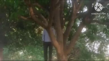 नांगल चौधरी: गांव नांगल पीपा में तीन बच्चों के पिता ने किया सुसाइड, खेत में जाकर पेड़ पर लगाई फांसी, शराब पीने का आदी था