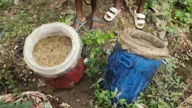 দাঁতন ১: দাঁতনে প্রশাসনের চোখে ধুলো দিয়ে দেদার চলছে চোলাই মদের কারবার,মহুল খেয়ে গবাদি পশুর মৃ/ত্যু/তে বিক্ষোভ!