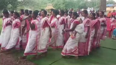 चैनपुर: सामुदायिक वन पट्टा से खिले ग्रामीणों के चेहरे, बुकमा में धूमधाम से मनाया गया वन महोत्सव