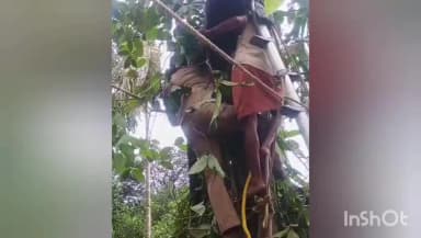 കോഴിക്കോട്: മരം മുറിക്കുന്നതിനിടെ അപകടം, തലകീഴായി തൂങ്ങിക്കിടന്നയാളെ കൂടരഞ്ഞിയിൽ മുക്കം ഫയർഫോഴ്സ് എത്തി രക്ഷപ്പെടുത്തി