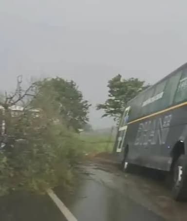 कवर्धा: आंधी-तूफान का कहर: NH-30 पालीगुडा के पास पेड़ गिरने से सड़क जाम, दलदल में फंसी धनी बस, राहगीर परेशान