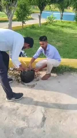 *दिनांक: 12/06/2026*
उज्जीवन स्मॉल फाइनेंस बैंक के कर्मचारियों ने किया कल्याणसिंह पार्क का सौंदर्यीकरण, लगाए नए पौधे