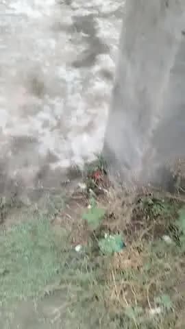 village rasoolpur nangla district Bijnor tehsil Chandpur block jalilpur