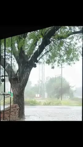 मौसम ने ली करवट।
जनपद उन्नाव के तहसील क्षेत्र बीघापुर में सुबह से उमेश भरी गर्मी के बाद , बारिश और तेज हवाओं का हुआ आना।