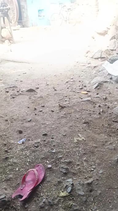 girgit ne btaya mausam kab baris hona hai kab nhi hona phoolpur
