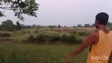 ଚମ୍ପୁଆ: କାଟୁଳିକନା ଗାଁ ରେ ବ୍ୟାପକ ଖରାଟିଆ ଧାନ ଫସଲ ନଷ୍ଟ କଲେ ପାଞ୍ଚ ଟିକିଆ ହାତୀପଲ
