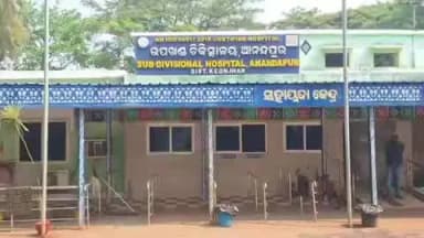 କେନ୍ଦୁଝର ସଦର: ଡ଼ିମିରିଆ ଗ୍ରାମରେ ଘାସ ସଫା କରୁଥିବା ବେଳେ କାମିଡ଼ିଲା ସାପ, ବୃଦ୍ଧାଙ୍କ ମୃତ୍ୟୁ