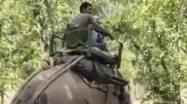 मानपुर: बांधवगढ़ टाइगर रिजर्व के झलवार बीट अंतर्गत कुदरी के जंगल मे बाघ के हमले मे महिला की मौत के बाद पार्क प्रबंधन अलर्ट