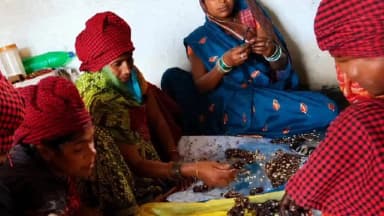 कोटा: बिहान योजना से बदली तकदीर, ग्राम लिटिया (बेड़ापाठ) की प्रेम वर्षा बनी लखपति दीदी