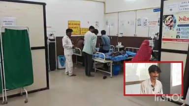 ભાણવડ: ભાણવડ ના કૃષ્ણગઢ ગામે રમતા રમતા 6 જેટલા બાળકો ઝેરી વનસ્પતિના બી ખાઈ જતા તબિયત લથડી