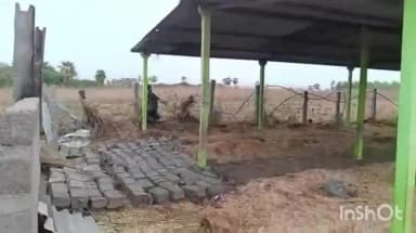వర్ధన్నపేట: వర్ధన్నపేట పట్టణంలో గోవులు అర్థనాదాలు పెడుతున్నాయి ఈ వీడియో సోషల్ మీడియాలో వైరల్ గా మారింది