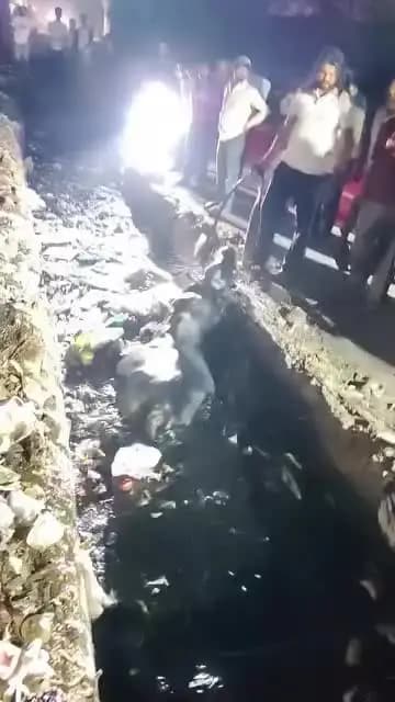 शाहदरा: सोनिया विहार में एक महीने से खुला था नाला, सांड गिरा :- वीरेंद्र गुप्ता फौजी आप नेता