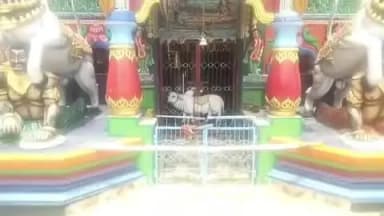 ସୁନ୍ଦରଗଡ: ବାଲି ଶଙ୍କରା ବ୍ଲକ ଶୁଖା ମହାଦେବ ମନ୍ଦିରରୁ ଚୋରି ସନ୍ଧାନୀ କୁକୁର ନେଇ ପୋଲିସ ତଦନ୍ତ ଜାରି