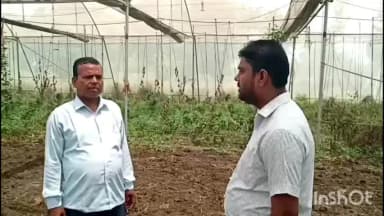 काको: आधुनिक खेती से बदली धरमपुर के गुड्डू कुमार की किस्मत, 2 से 2.5 लाख कमा रहे हैं मुनाफा