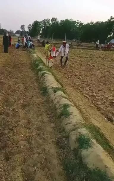 श्रावस्ती - एक गाय पिछले आठ दिनों से एक ही खेत के लगातार चक्कर लगा रही थी,जिसे ग्रामीणों ने चमत्कार मानकर पूजा-अर्चना की