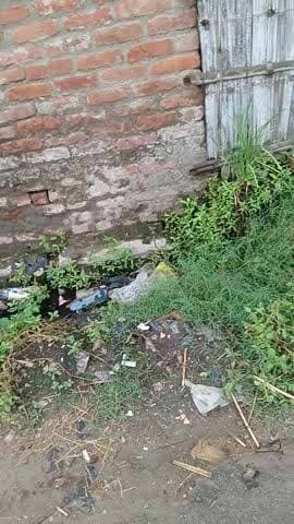 दुदही: धोकरहा टोला सुकुलपट्टी में नाला की सफाई काफी दिनों से नहीं हुआ हैं। गंदगी से आस पास के लोग बीमारी का शिकार हो रहे