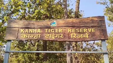 मंडला: कान्हा टाइगर रिजर्व में बाघ का हमला,गस्त के दौरान वन कर्मी की हुई दर्दनाक मौत, वन विभाग में शोक की लहर