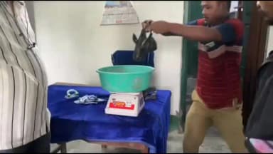 জলপাইগুড়ি: হলদিবাড়িতে অবৈধ কচ্ছপের মাংস ব্যবসার পর্দাফাঁস, যৌথ অভিযানে গ্রেফতার ১