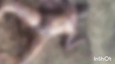 गुरुग्राम: नग्न हालत में मिले महिला के शव की पहचान हुई,गुरुग्राम में कूड़ा बीनती थी, यूपी की रहने वाली; 2 दिन पहले हुई थी लापता
