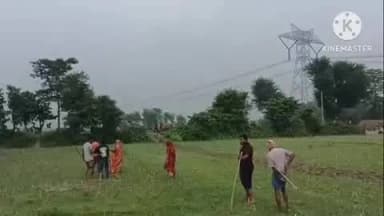 भरगामा: जमीन जोतने के विवाद में खूनी संघर्ष, दोनों पक्षों के 12 लोग घायल, दो की हालत गंभीर