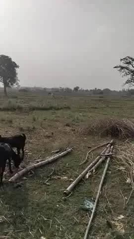 नाग नार हरैया मधुपुर सोनभद्र आज सोमवार करीखरीब 12 बज के तीस मिनट पर धूप तापमान 39c=। 40c था