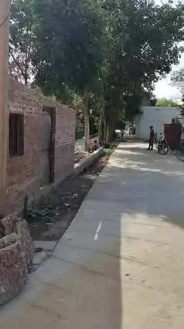 ग्राम ककरैया मे 50 साल पुराना पेड़ PWD सड़क के किनारे खड़ा था जिसे जबरन तेज सिंह s/O सीता राम के द्वारा कटवा दिया गया