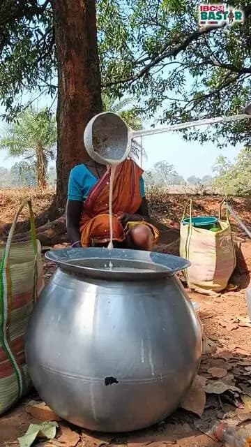 बस्तर में पेड़, पहाड़ के साथ ही सदियों पुरानी परंपराएं, संस्कृति और स्वाद भी जीवित हैं BASTAR DRINK