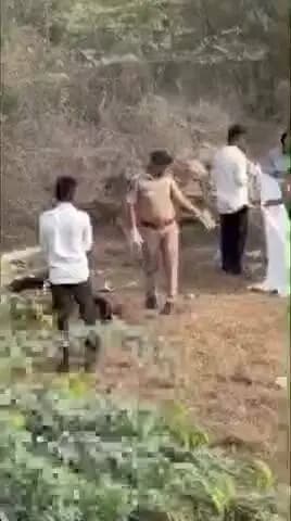 पिथौरागढ़: उत्तराखंड के युवक पर शेर का हमला, सिर धड़ से अलग; गुजरात में रहकर करता था नौकरी