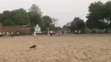 खेरागढ़: सैंया में पैमाइश के दौरान बवाल का वीडियो वायरल, दो पक्षों के बीच चले लाठी-डंडे