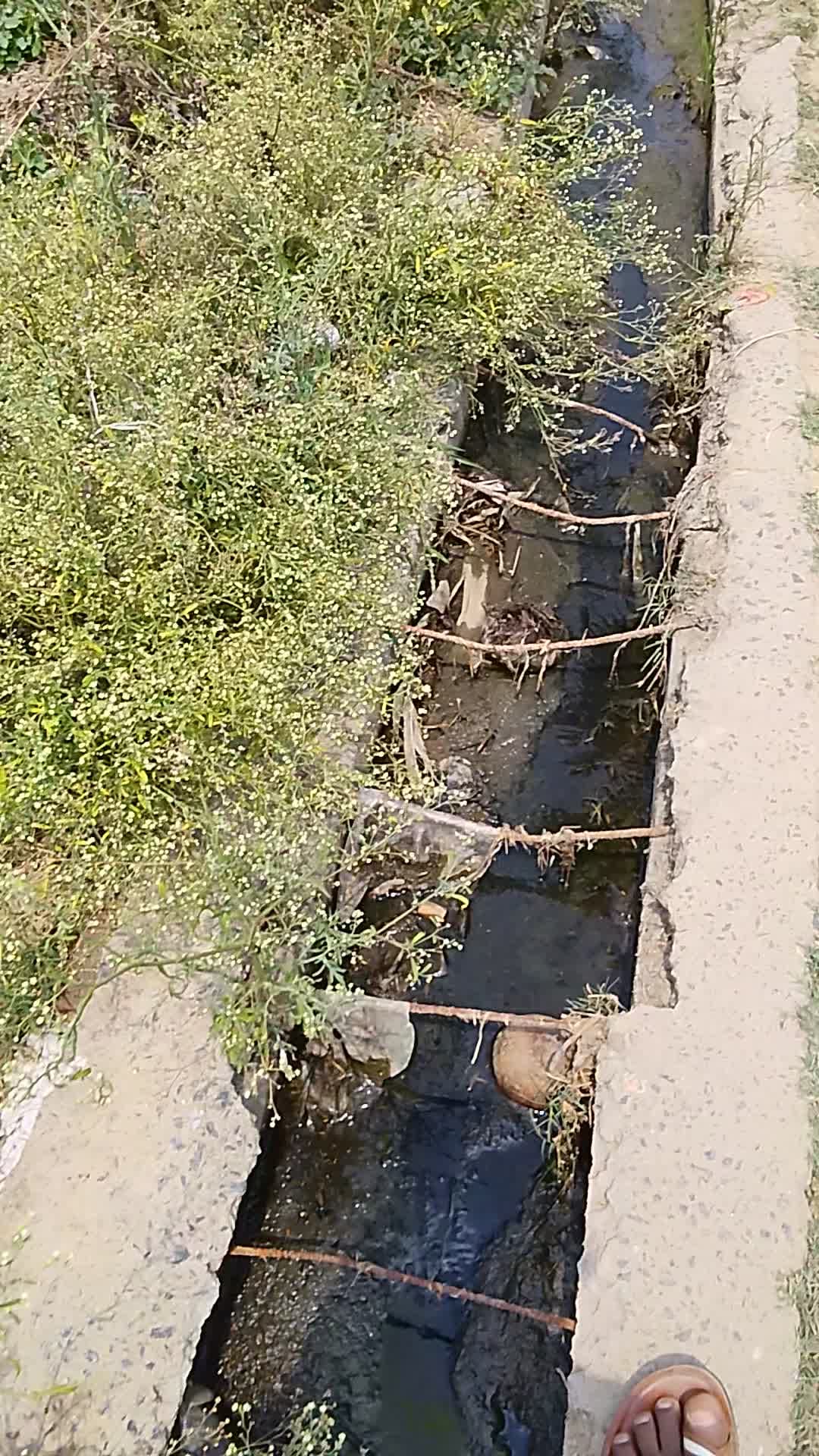 Arwal kurtha manikpur pyenchat bard 7 ko hai nali ka pani nikalne me tikat ho raha hai aadmi ko aane jane me dikkat hai