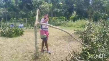 মানিকচক: রাতের অন্ধকারে লক্ষ্মীপুর এলাকায় জমিতে লাগানো থাকা গাছ কেটে দেওয়ার ঘটনাই চাঞ্চল্য