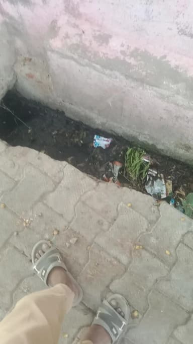 up92 जिला जालौन तहसील। जालौन मुहल्ला हरिपुरा बालाजी मंदिर के पास जालौन
यहां पर कई हफ्तों से नालियां साफ नहीं हुई हैं