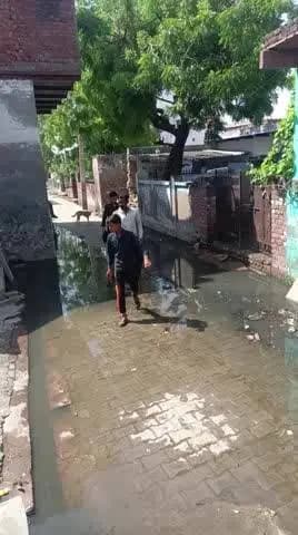पुरामना गाओ में जल भराव के कारण लोगों को निकलने में हुई परेशानी ओर इधर कोई सुनवाई नहीं हे ओर कोई सफाई कर्मचारी इधर सफाई