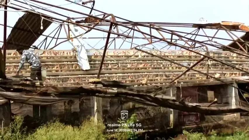 अमरपुरा ग्राम कोटा मैं भारी तूफ़ान आजाने से
मुर्गा फार्म तहस नहस हो गया और बहुत से जीव मर गए......