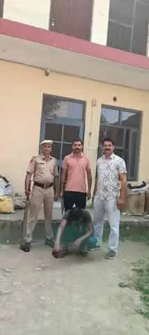 बद्दी: बद्दी पुलिस की पीओ सेल ने एनडीपीएस अधिनियम के मामले में उद्घोषित अपराधी को किया गिरफ्तार