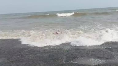 রামনগর ১: দীঘার সমুদ্র সৈকতে দেখা মিলল ডলফিনের, ছবি তুলতে ব্যস্ত পর্যটকরা