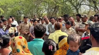 मोहोळ: मोहोळ वनपरिक्षेत्र अंतर्गत अळजापूर येथील ७ हेक्टर राखीव वनक्षेत्रावरील अतिक्रमण हटवले