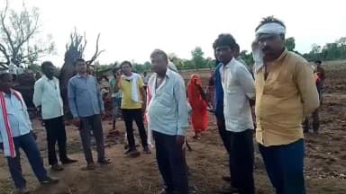 तालबेहट: बार थाना क्षेत्र सेमरा भाननगर में तेज हवाओं के बीच गिरा पेड़, महिला की दबकर हुई मौत, शव पोस्टमार्टम को भेजा गया
