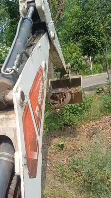 हरिद्वार: भेल के न्यू टर्बन शॉप में अजगर मिलने की सूचना से हड़कंप, जेसीबी की खुदाई में माटी में मिला विशालकाय अजगर