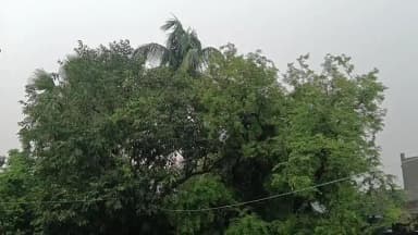 নানুর: নিম্নচাপের জেরে সকাল থেকেই বৃষ্টি কীর্ণাহারে, বৃষ্টির ফলে অনেকেই ছাতা মাথায় নিয়ে রাস্তায় বেরিয়েছেন