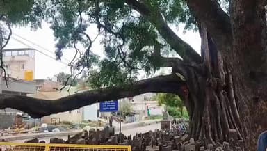 ದೊಡ್ಡಬಳ್ಳಾಪುರ: ದೊಡ್ಡಬಳ್ಳಾಪುರದ ಘಾಟಿ ಸುಬ್ರಹ್ಮಣ್ಯ ಕ್ಷೇತ್ರದಲ್ಲಿ ಬೃಹತ್ ಅರಳಿ ಮರದ ಕೊಂಬೆ ಬಿದ್ದು ಅವಘಡ