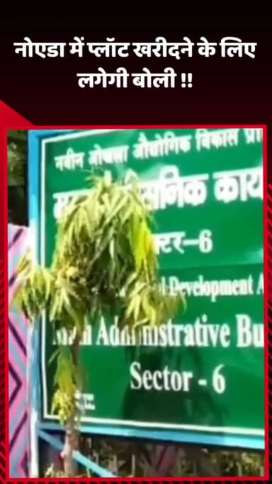 दादरी: नोएडा में प्लॉट खरीदने के लिए लगेगी बोली